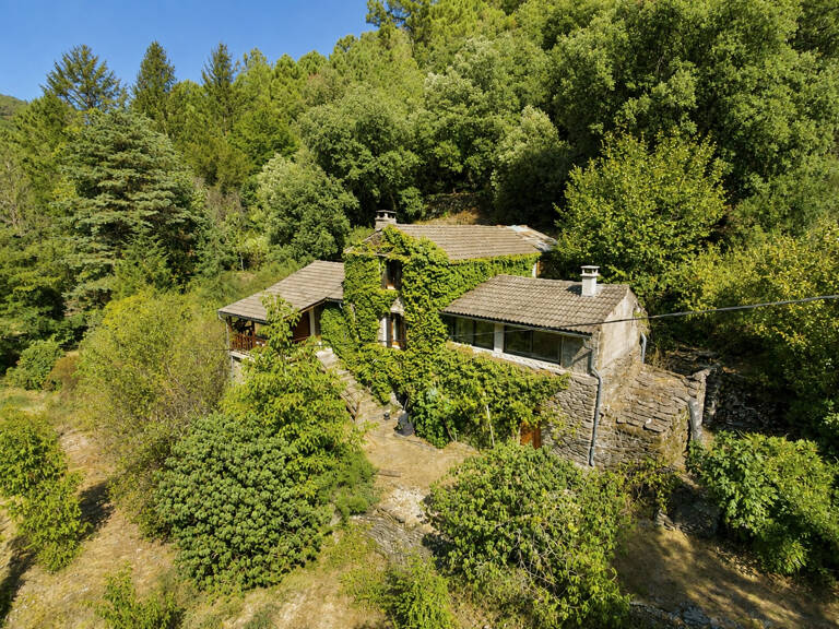 Mas T4 avec Terrain et Rivière — photo 1