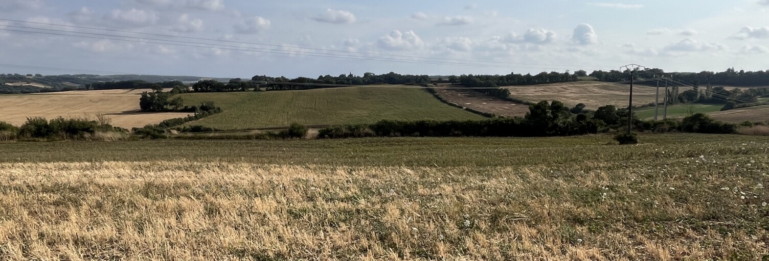 Terrain  229472 m² à vendre à Vic-Fezensac (32190)