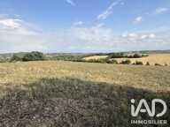 Vente Terrain agricole 229 472 m&sup2; — photo 4
