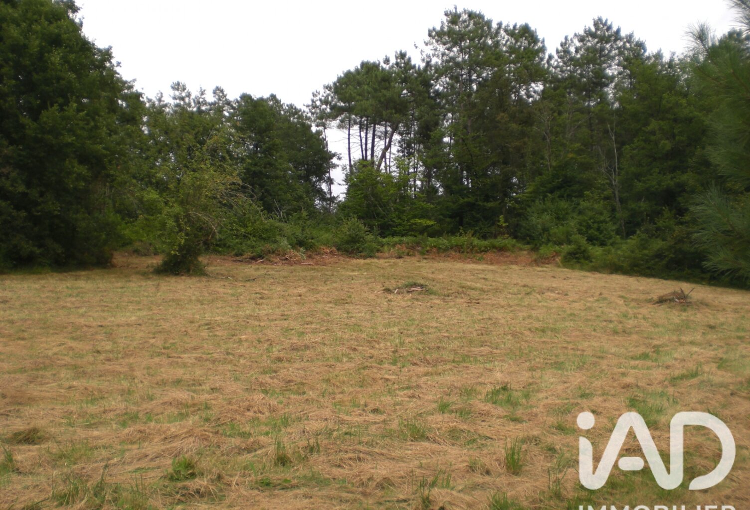Vente Terrain à bâtir 5 000 m&sup2; — photo 1