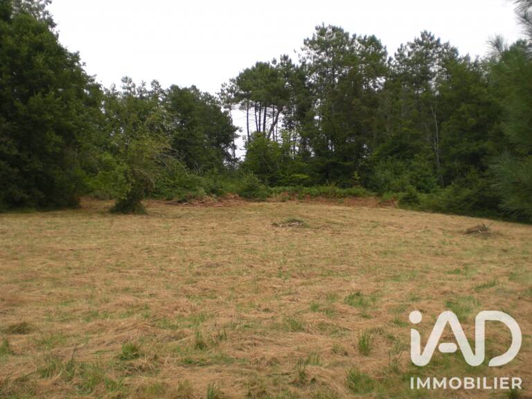 Vente Terrain à bâtir 5 000 m&sup2; — photo 1