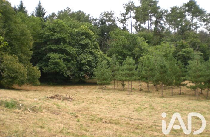 Vente Terrain à bâtir 5 000 m&sup2; — photo 3
