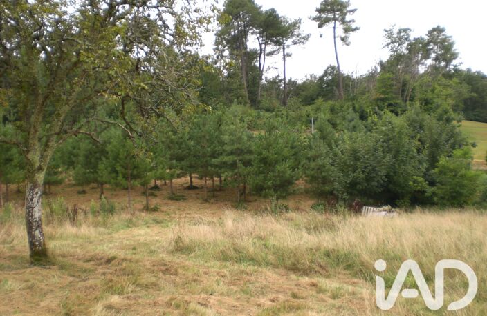 Vente Terrain à bâtir 5 000 m&sup2; — photo 4