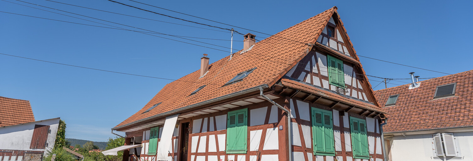 Maison 117 m² en viager Dieffenbach-lès-Wœrth (67360)