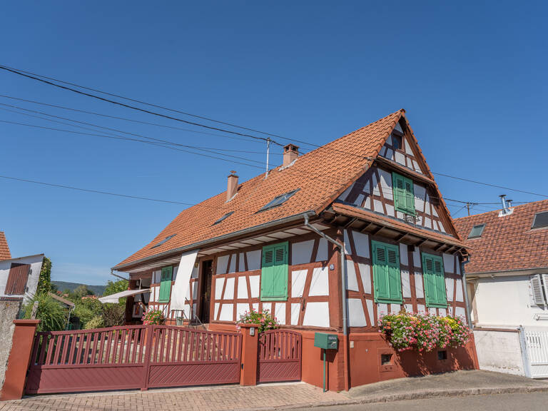 VIAGER OCCUPÉ   AUTHENTIQUE MAISON ALSACIENNE DE CARACTÈRE — photo 1