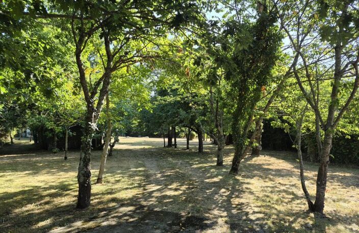 À vendre, secteur de Tarbes : Spacieuse villa comprenant 4 chambres, bureau, suite parentale, abri pour voiture et atelier, nichée dans d'un parc arboré de 22 071 m². Situation calme mais proche commodités et services — photo 3