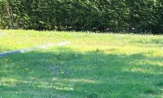 Appartement 1 Pièce 15 m² à louer à Saint-Loubès (33450)