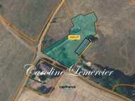 Maison à vendre 0 pièces proche de CONNERRE (72) GRANGE EN PIERRE DE 170 M² AVEC GRNIER SUR TOUTE LA SUPERFICIE , 2500 m² terrain en campagne — photo 2
