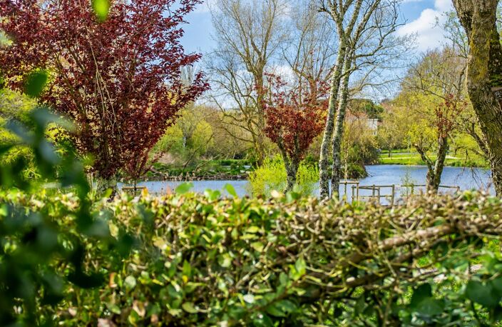 ROYAN – LAC DE LA MÉTAIRIE – VILLA DE PLAIN-PIED T5 – 168 M² — photo 3