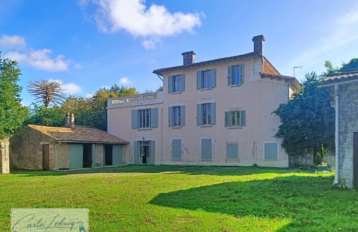 Coup de coeur pour les amoureux de belle demeure à vendre 14 pièces - Elégance, art de vivre - SOUVIGNE (79) — photo 3