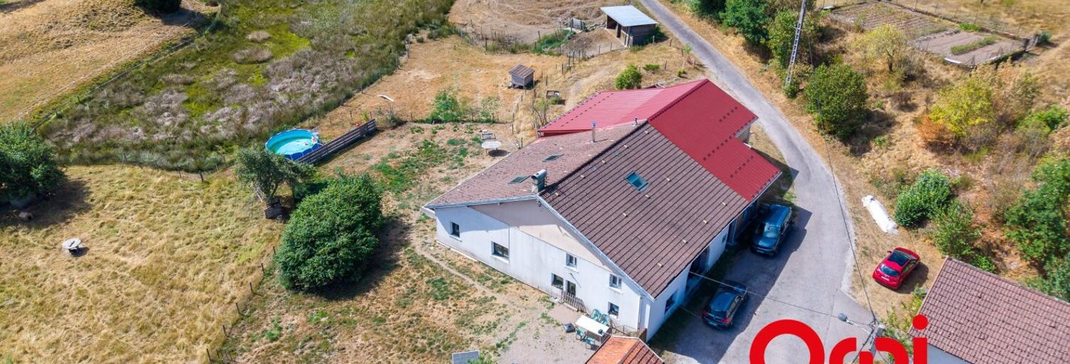 Maison 6 Pièces 176 m² à vendre à Le Syndicat (88120)