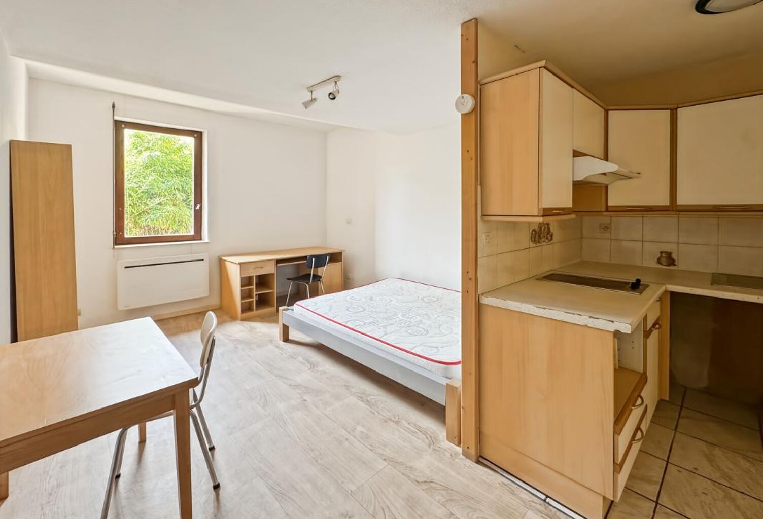 Toulouse Saint-Cyprien — Studio lumineux au calme dans une petite copropriété — photo 1