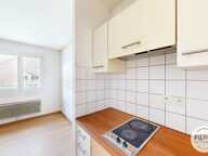 Bollwiller : Idéal investissement locatif et/ ou résidence secondaire — photo 3