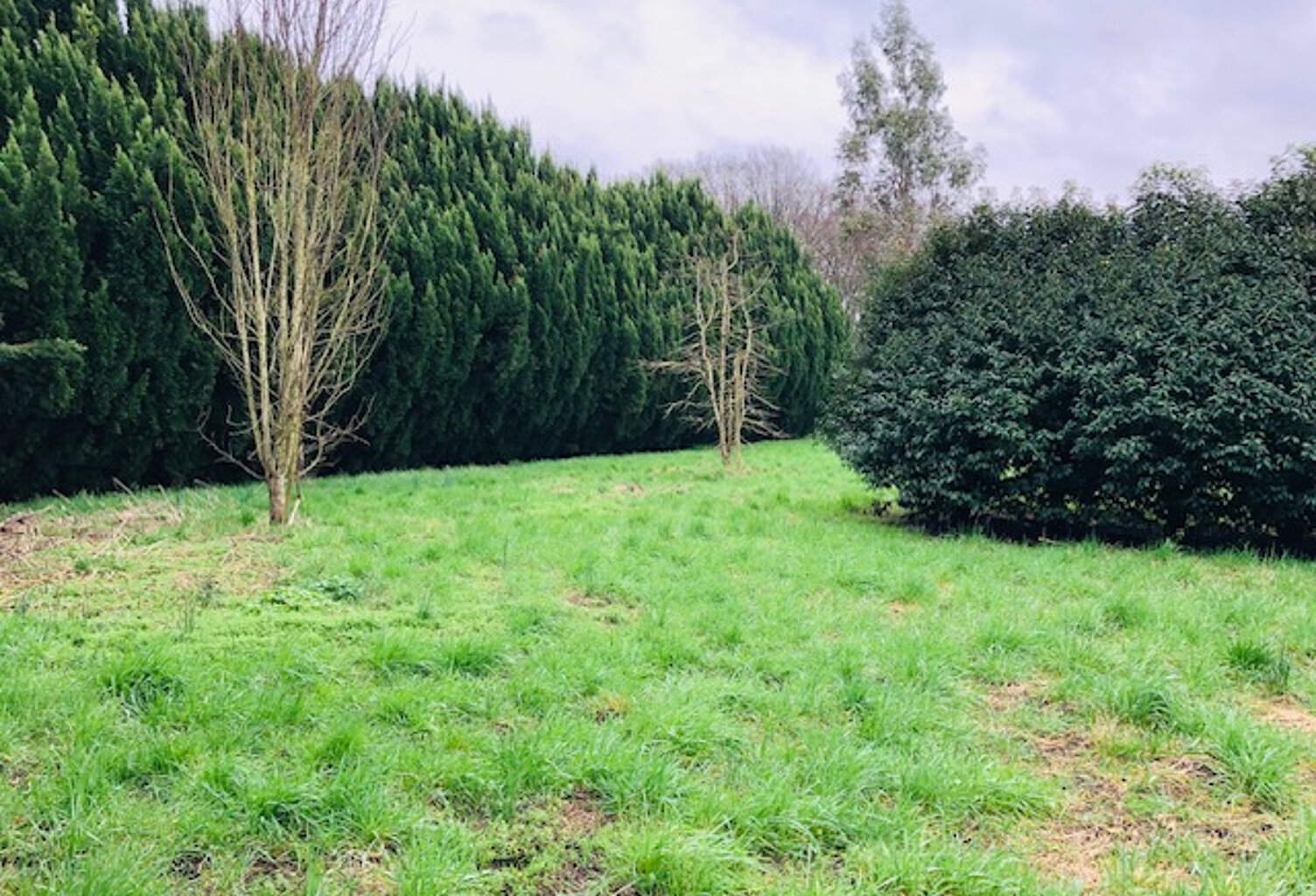 Terrain Viabilisé - 1200 m2 — photo 1