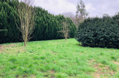 Terrain  49490 €