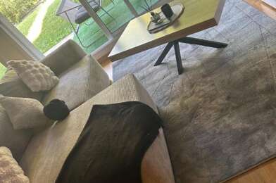 Appartement 2 pièces 800 €