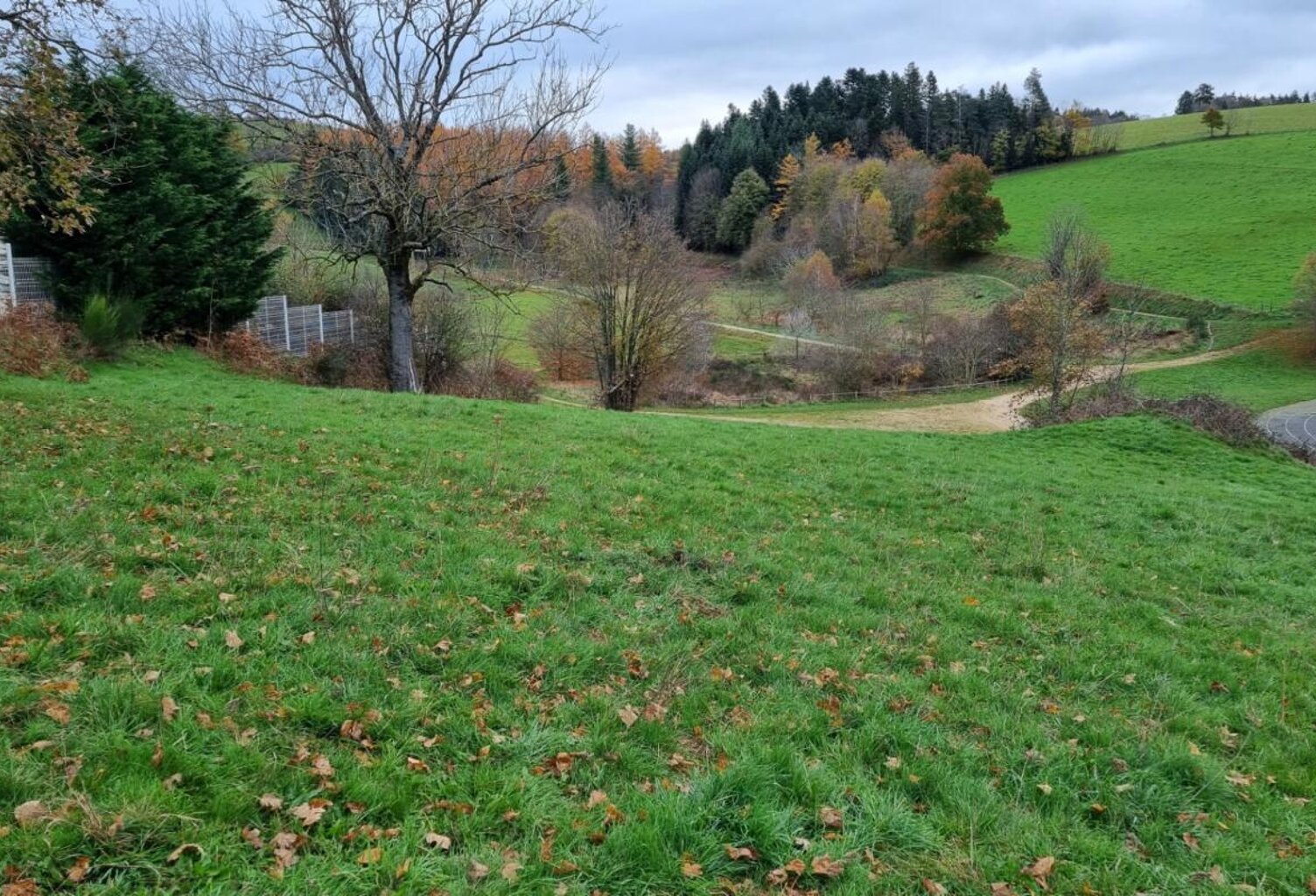 Saint Didier en Velay 43140 parcelle de terrain 2800m² constructible et 4500m² non constructible — photo 1