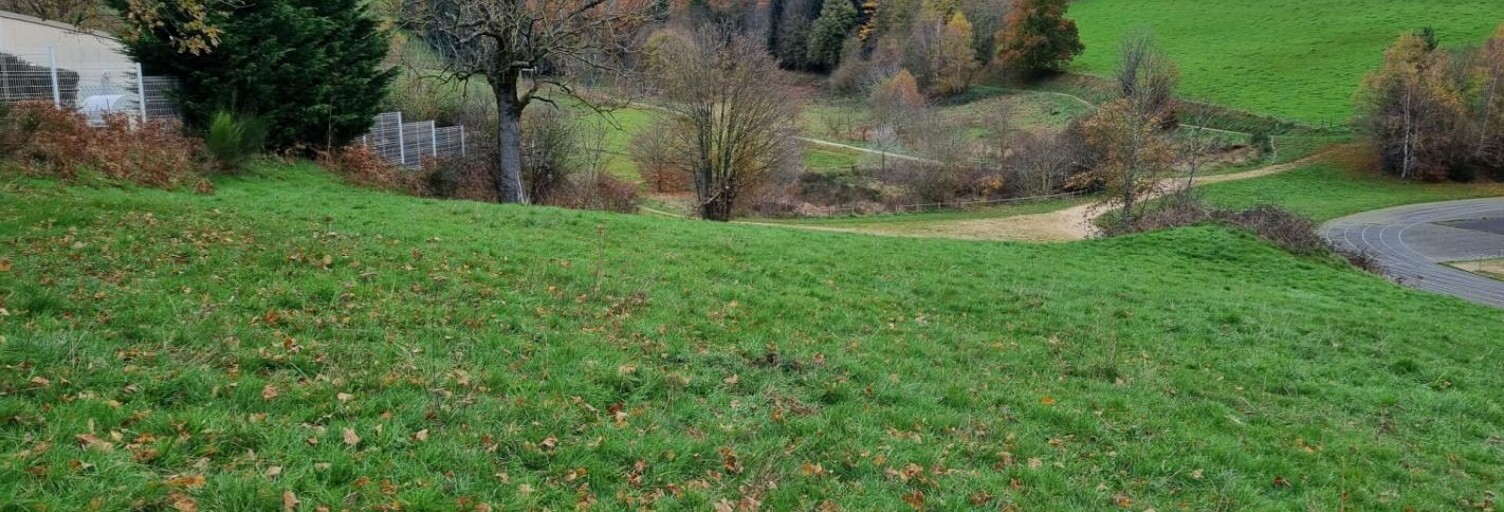 Terrain  6800 m² à vendre à Saint-Didier-en-Velay (43140)