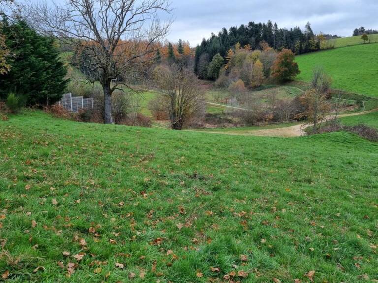 Saint Didier en Velay 43140 parcelle de terrain 2800m² constructible et 4500m² non constructible — photo 1