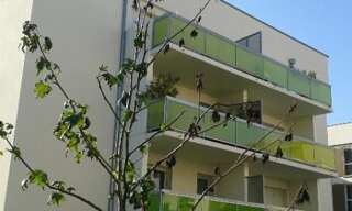 Appartement 3 Pièces 54 m² à louer à Toulouse (31300)