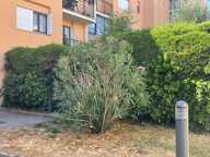 5 P EN REZ DE JARDIN VAL CLARET — photo 4