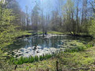 Propriété de charme sur plus d'un hectare — photo 3