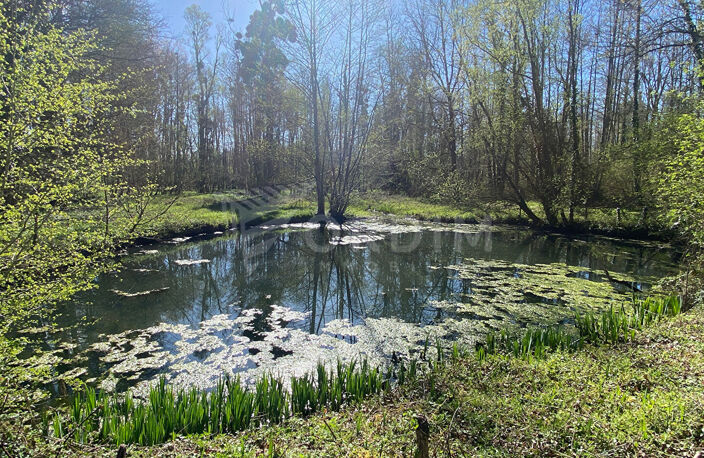 Propriété de charme sur plus d'un hectare — photo 3