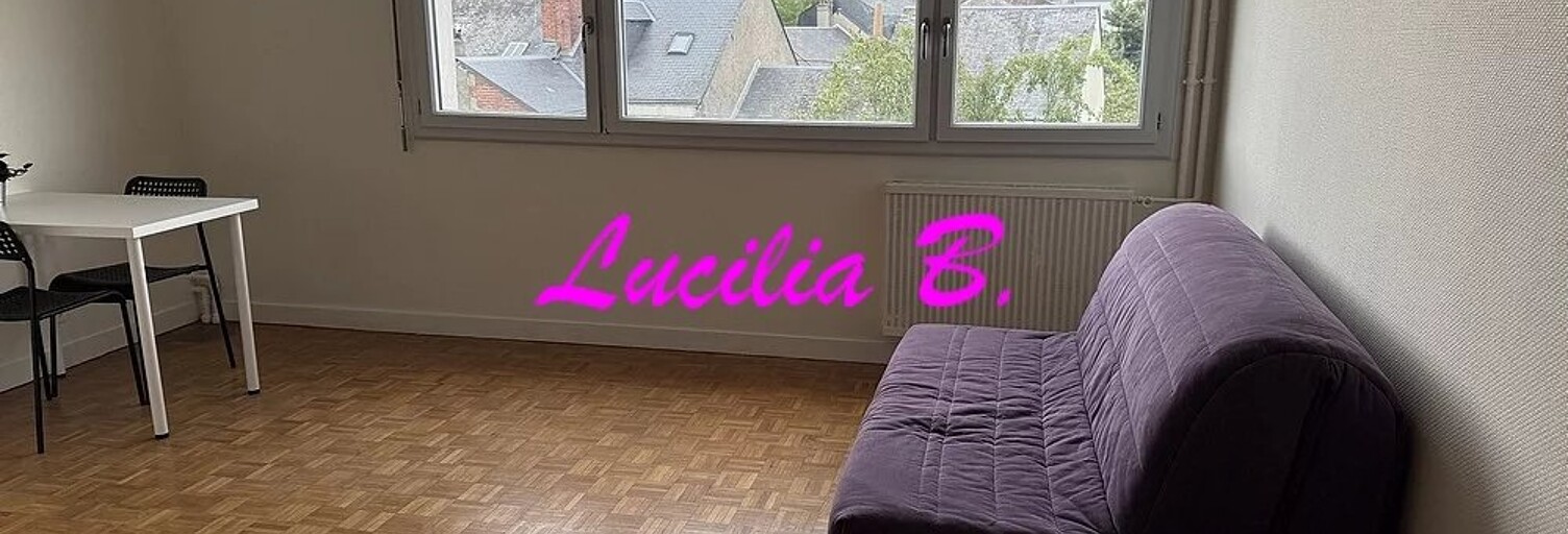 Appartement 1 Pièce 27 m² à louer à Tours (37000)