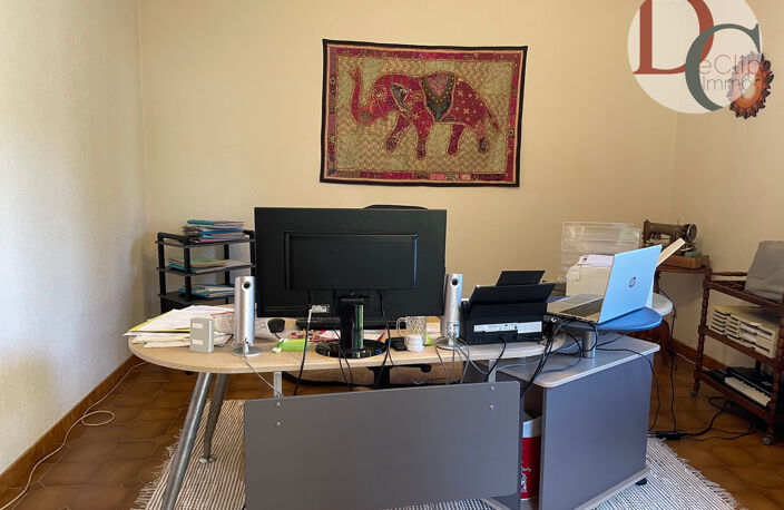 Propriété de charme avec habitation principale et possibilit — photo 4