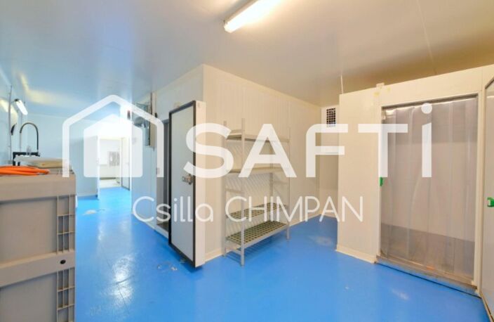 CADRE PRIVILEGIE, MAISON EN PIERRE, BATIMENTS AGRICOLES — photo 4