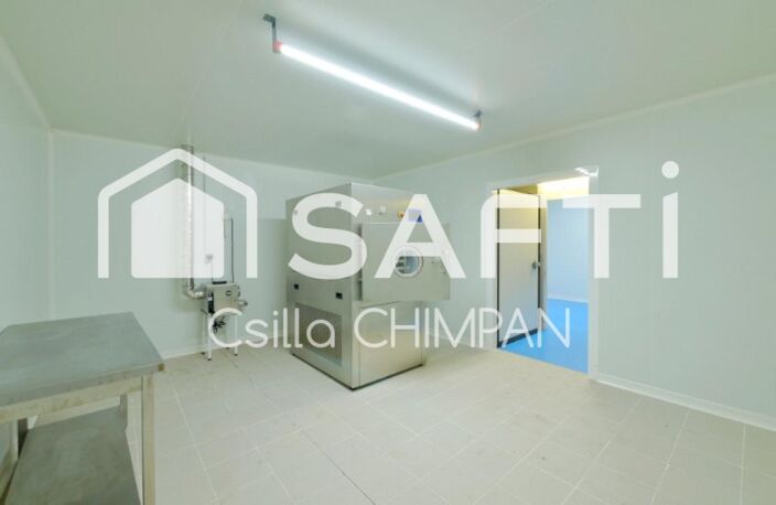 CADRE PRIVILEGIE, MAISON EN PIERRE, BATIMENTS AGRICOLES — photo 5