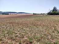 Ancien corps de ferme isolé — photo 4