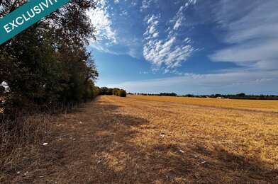 Terrain  80000 €