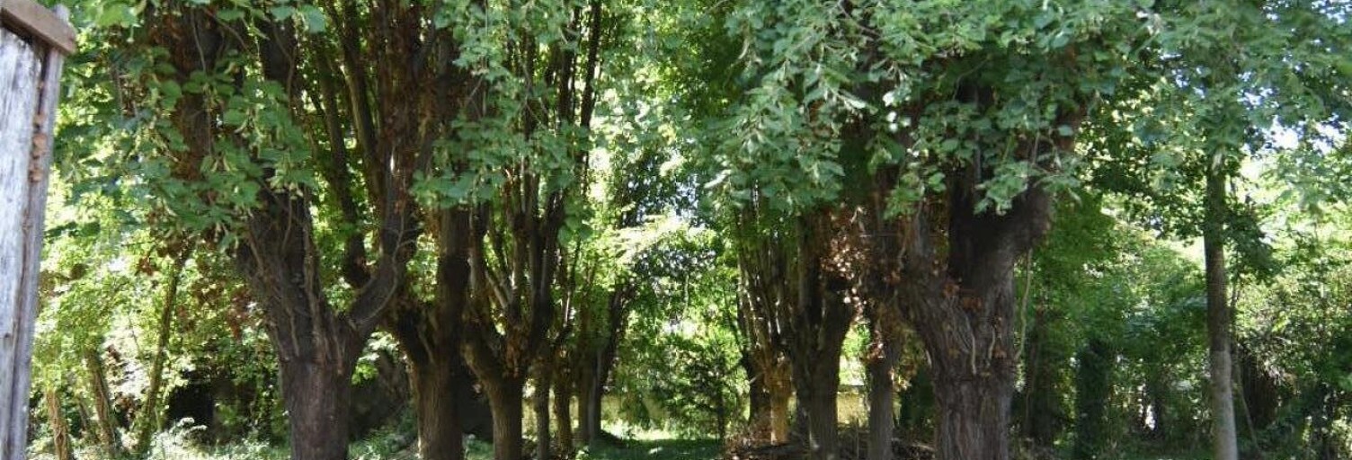 Terrain  2504 m² à vendre à Joigny (89300)