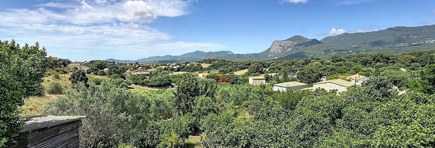 Maison 10 Pièces 205 m² à vendre à Peri (20167)