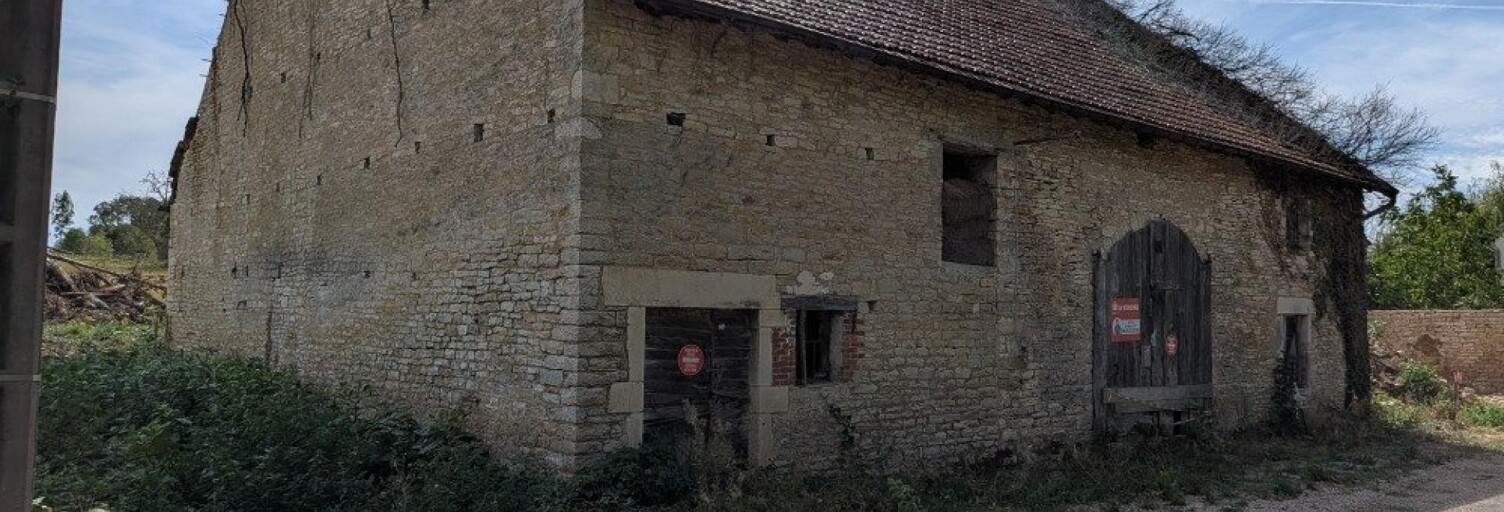 Maison 3 Pièces 292 m² à vendre à Motey-Besuche (70140)