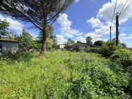 ST GIRONS D'AIGUEVIVES TERRAIN 480 M2 — photo 2