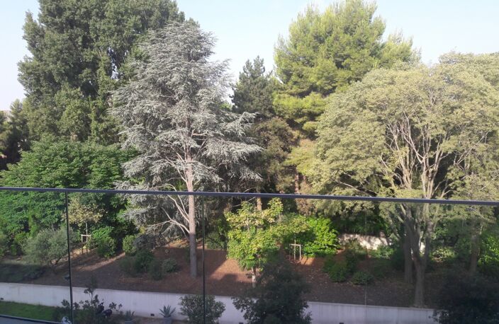 2 Pièces — photo 2