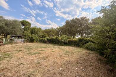 Terrain  55000 €