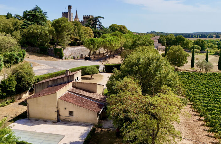 Villa traditionnelle avec piscine — photo 3