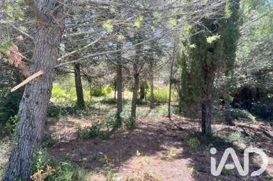 Terrain  65000 €