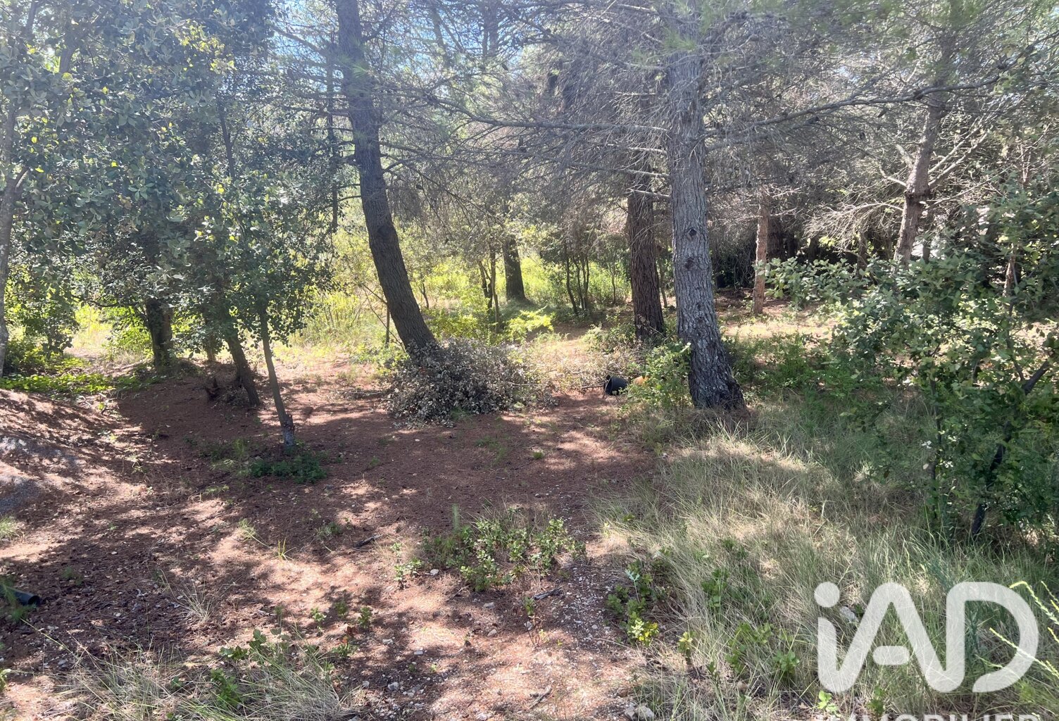 Vente Terrain à bâtir 749 m&sup2; — photo 1