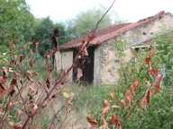 ancienne ferme à renover sur un terrain de 1575 m2 — photo 4