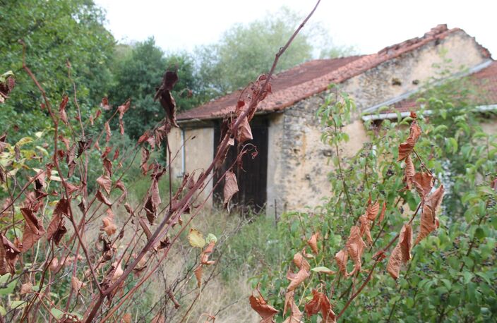 ancienne ferme à renover sur un terrain de 1575 m2 — photo 4