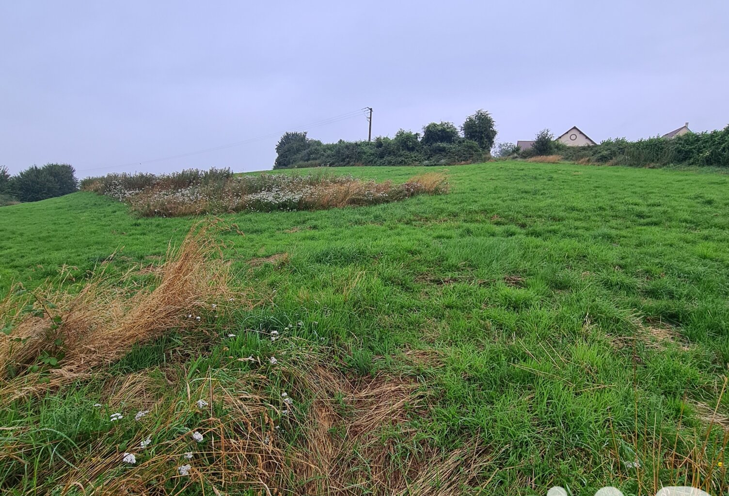 Vente Terrain à bâtir 13 549 m&sup2; — photo 1