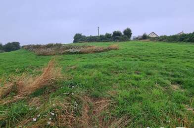 Terrain  60000 €