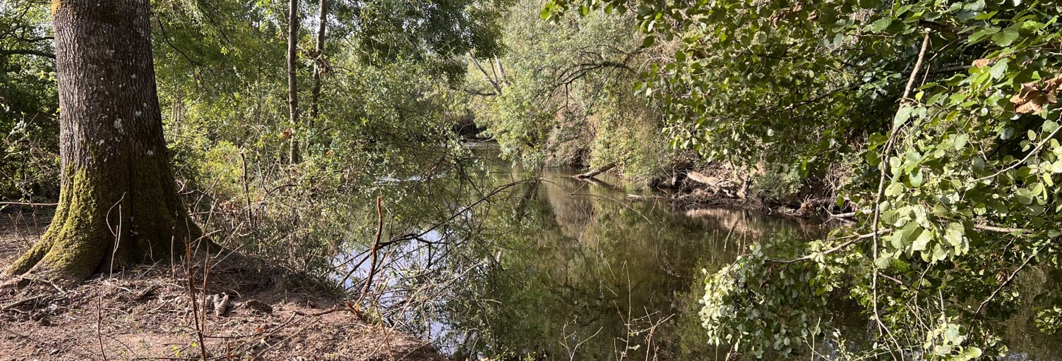 Terrain  9810 m² à vendre à Aunac-sur-Charente (16460)