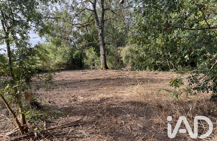 Vente Terrain 9 810 m&sup2; — photo 4