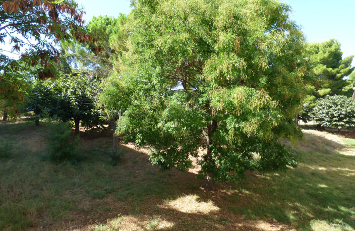 Appartement 5 pièces + plave privative - 102.44 m2 - Les Caillols 13011 Marseille - 245 000 €* — photo 4