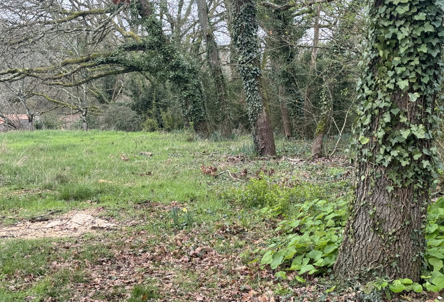 TERRAIN A BATIR - LOT 13 - SAINT BENOIT — photo 1
